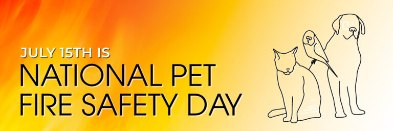 National Pet Fire Safety Day: Simple Steps for a Safer Home - Virginia ...